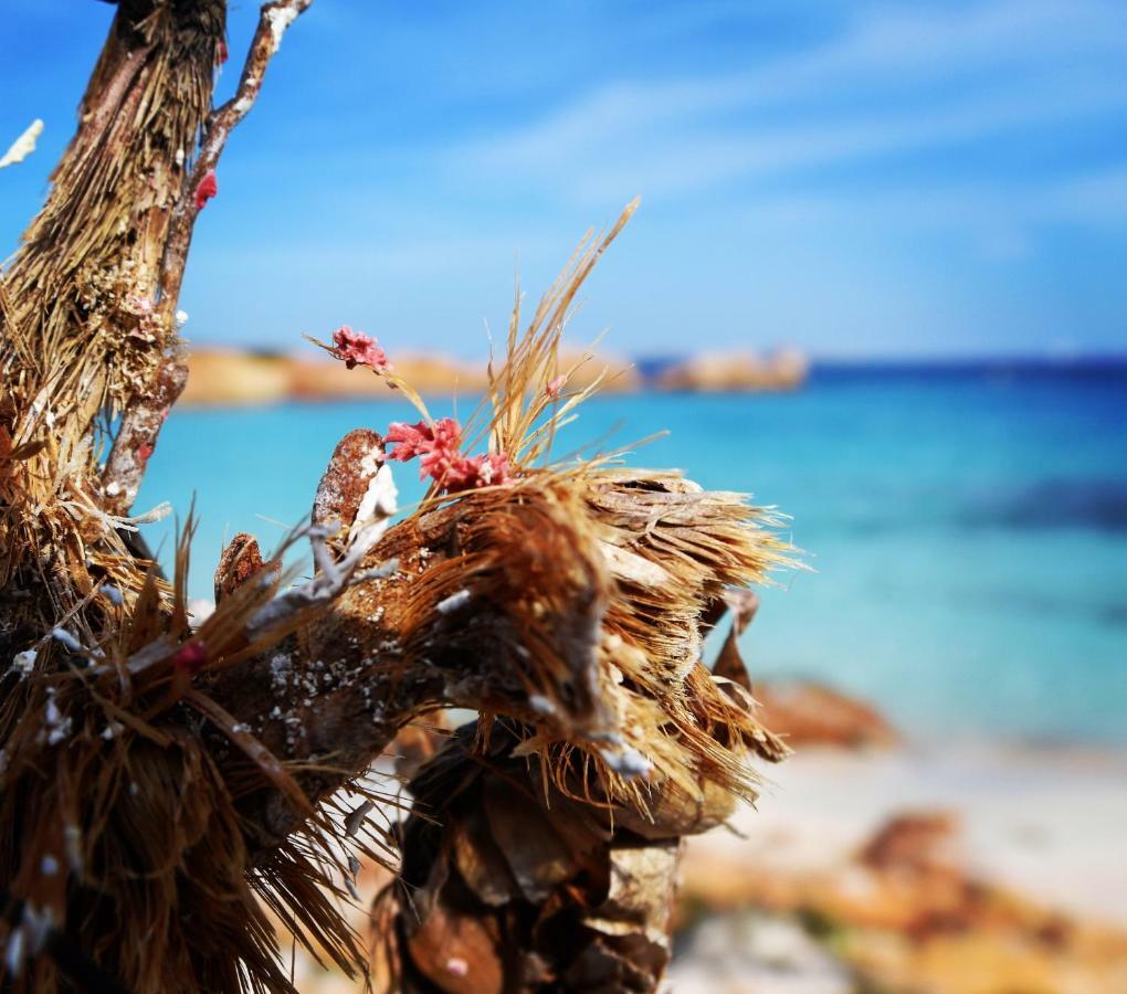 Casa Duminicheddha, Mare E Relax In Gallura Bassacutena Екстериор снимка